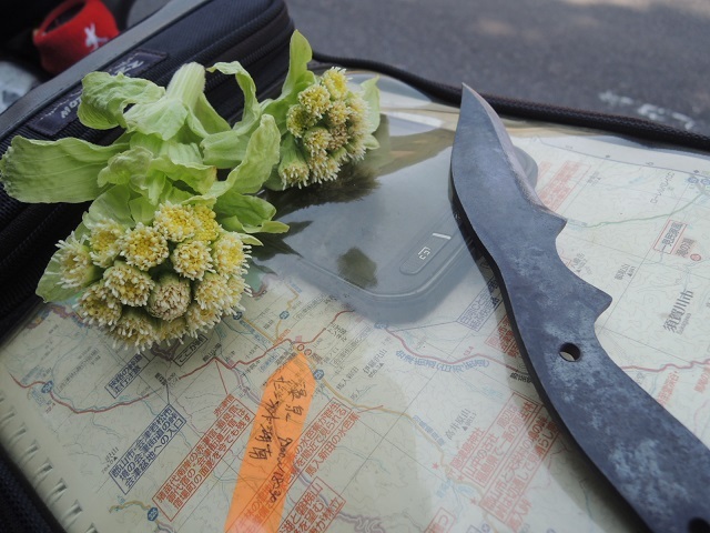春の味覚と手製のナイフ　旅の道しるべ.jpg